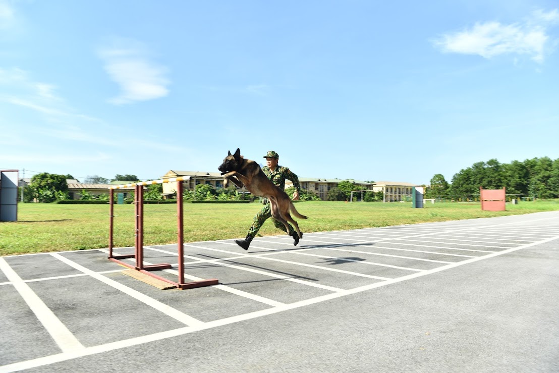 Đội tuyển chó nghiệp vụ quyết tâm cao trong lần đầu tiên ra quân